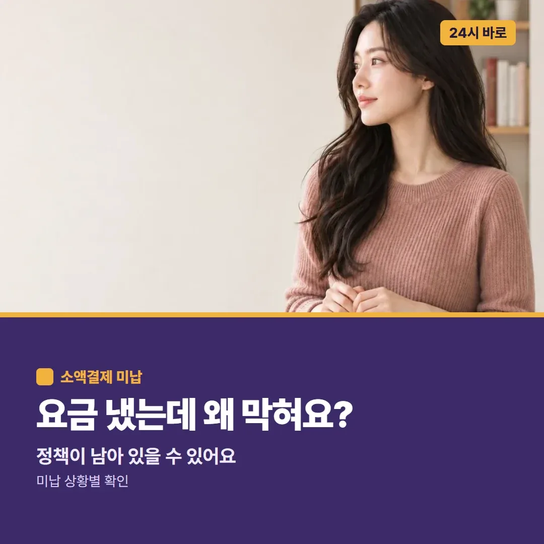 휴대폰 소액결제현금화 요금 냈는데 왜 막혀요? 정책이 남아 있을 수 있어요, 미납 상황별 확인 24시 바로
